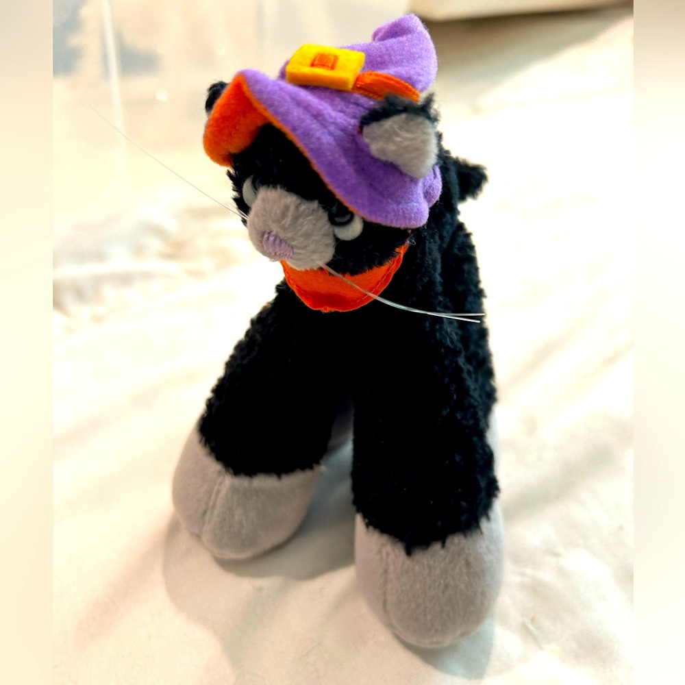 Cute Halloween Cat